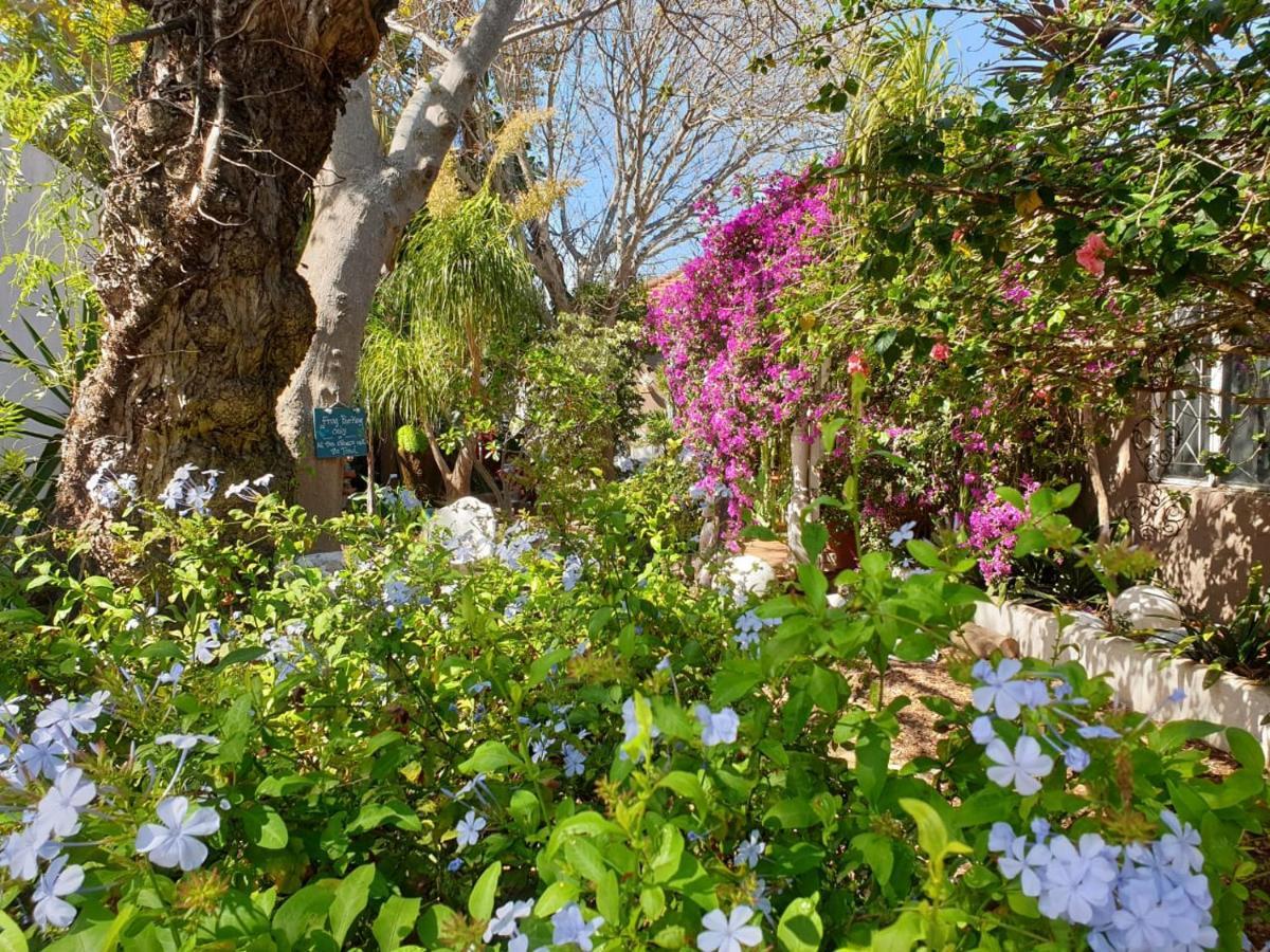 Guest House Frame Ace Bellville Esterno foto