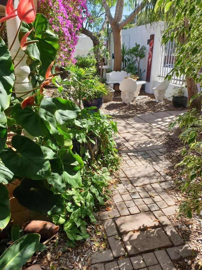 Guest House Frame Ace Bellville Esterno foto